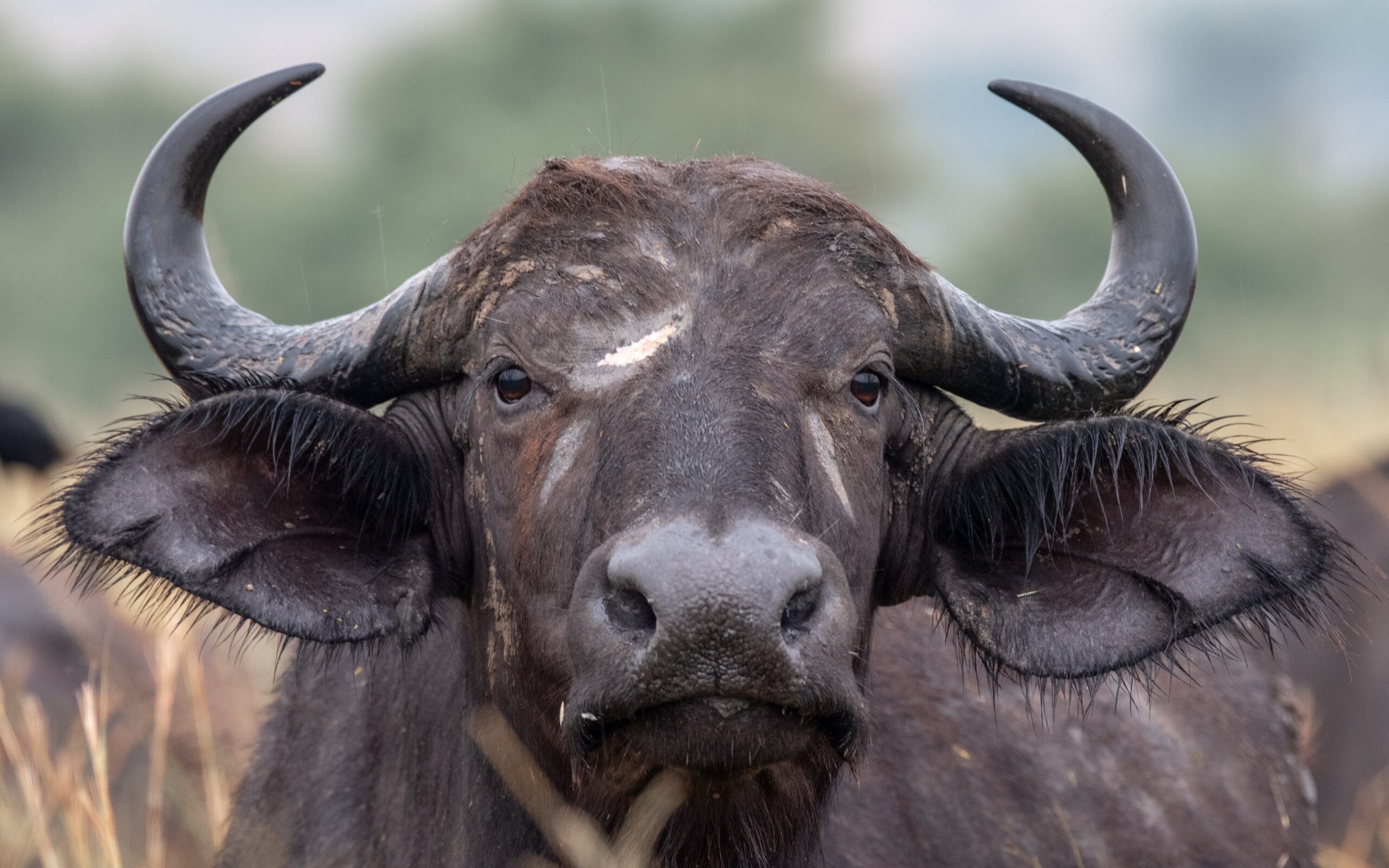 3 DAYS TRIP TO LAKE MBURO